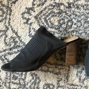 Adam Tucker heels